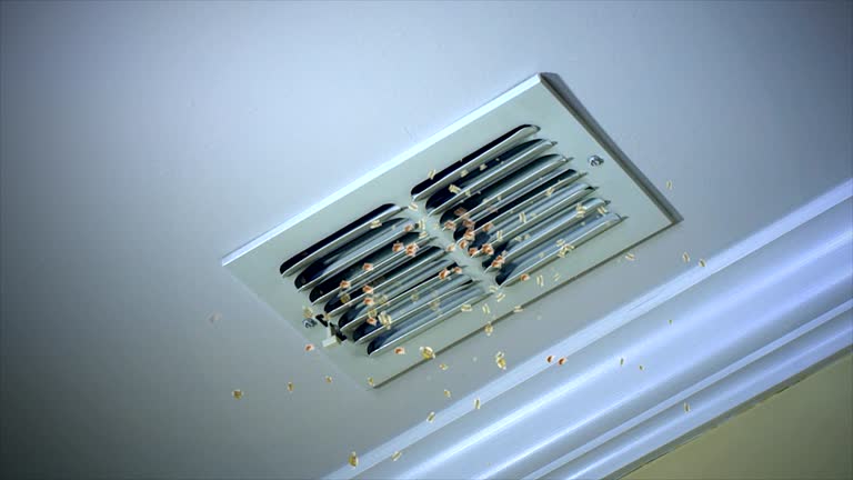 Best Local Air Duct Cleaning Services  in Boaz, AL