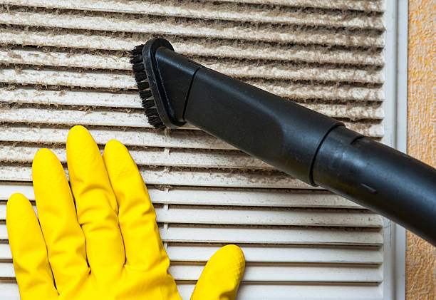Best Duct Cleaning Specialists  in Boaz, AL